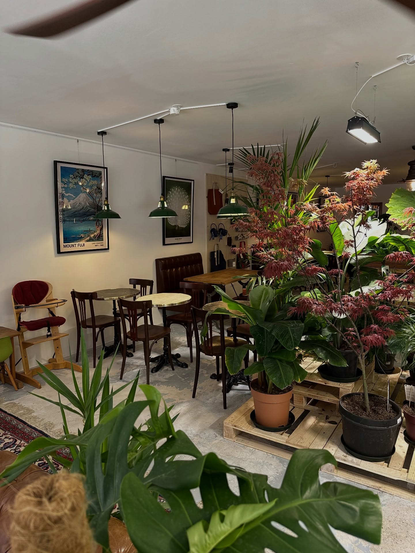 Ambiance Greenpoint Marseille